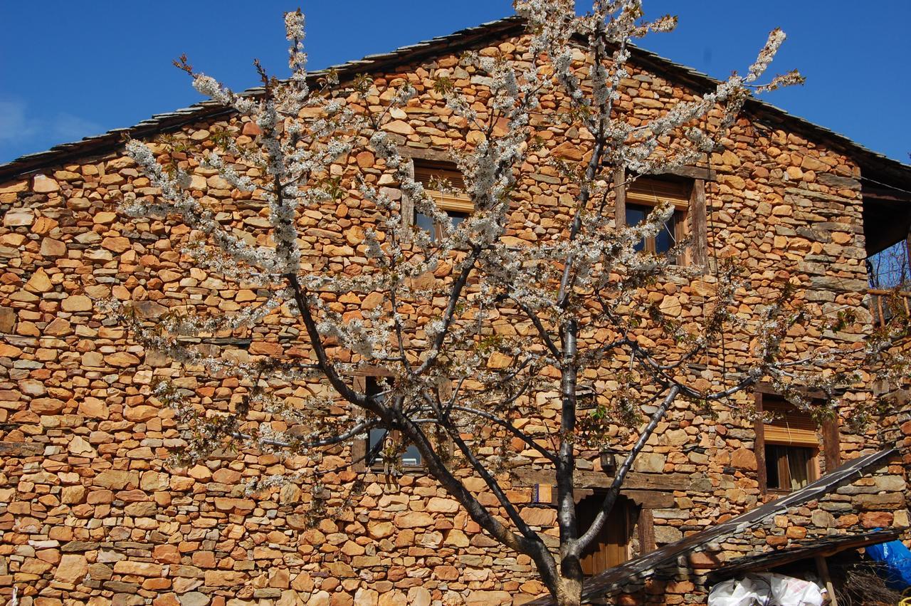 Apartamentos Turisticos La Alqueria De Valverde Valverde De Los Arroyos Exteriör bild